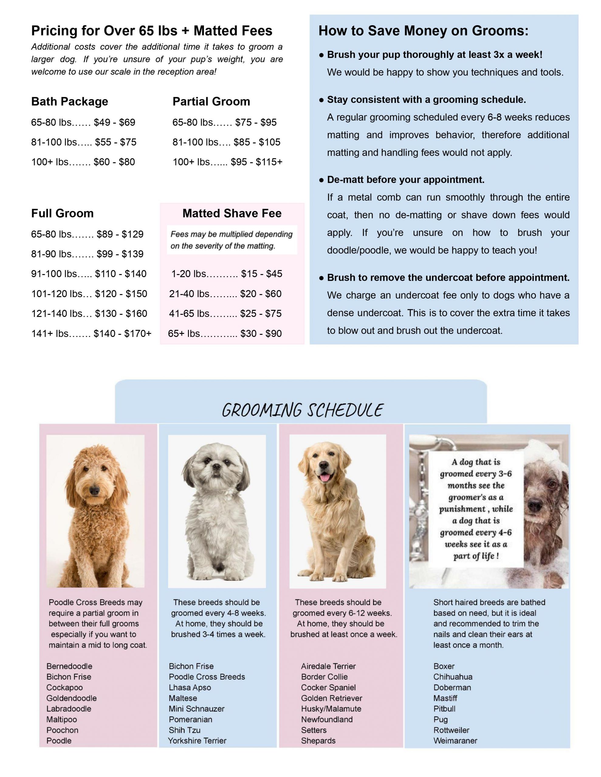 Dog Grooming Prices in 2023: How Much Does It Cost?